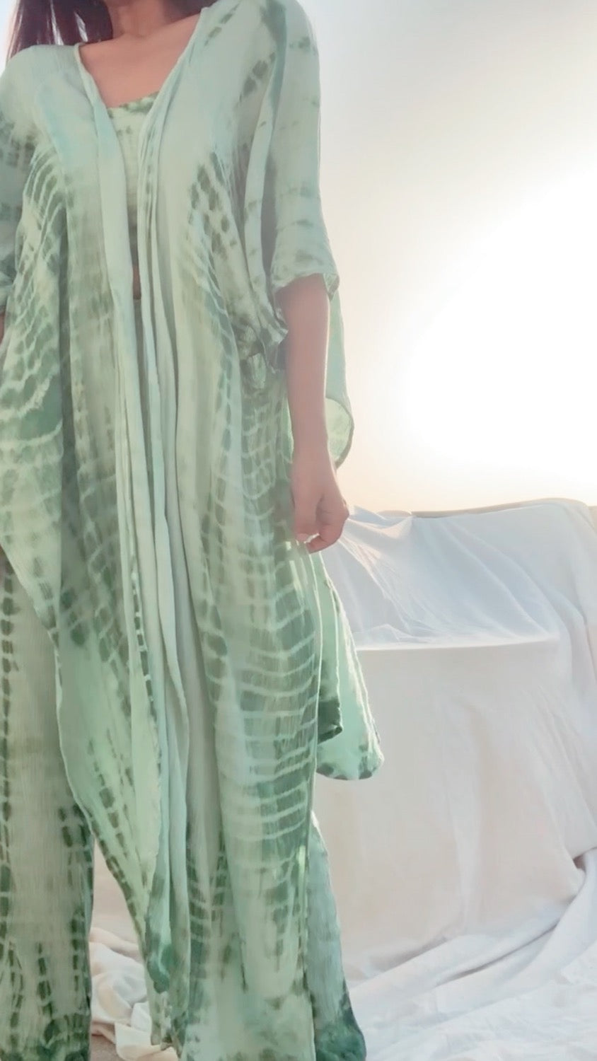 THE MIRAGE SET~ in cacti
