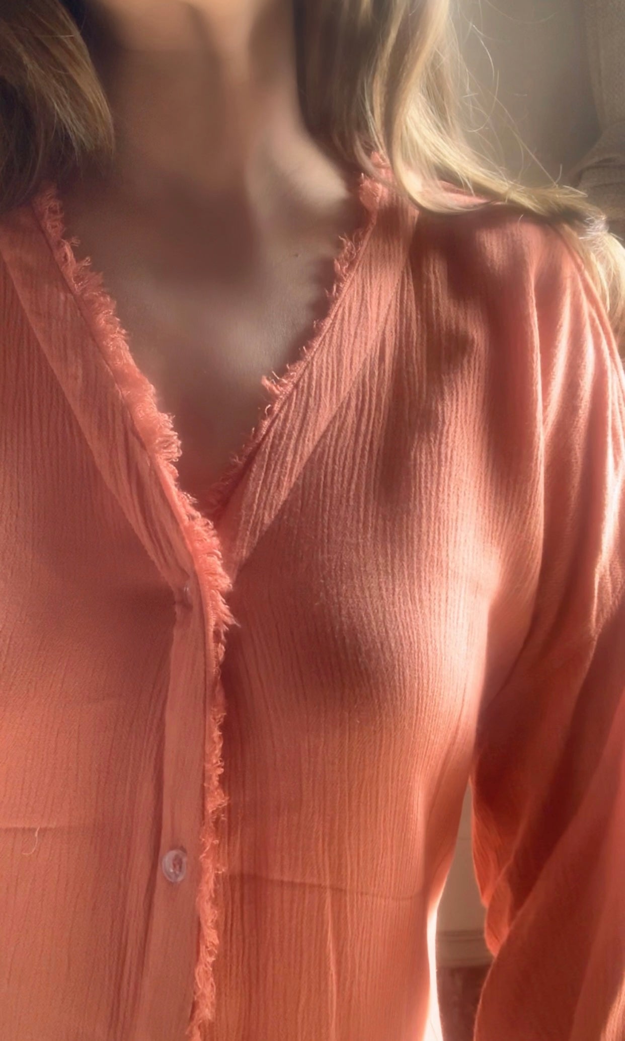 THE  WAVELET SET : Salmon