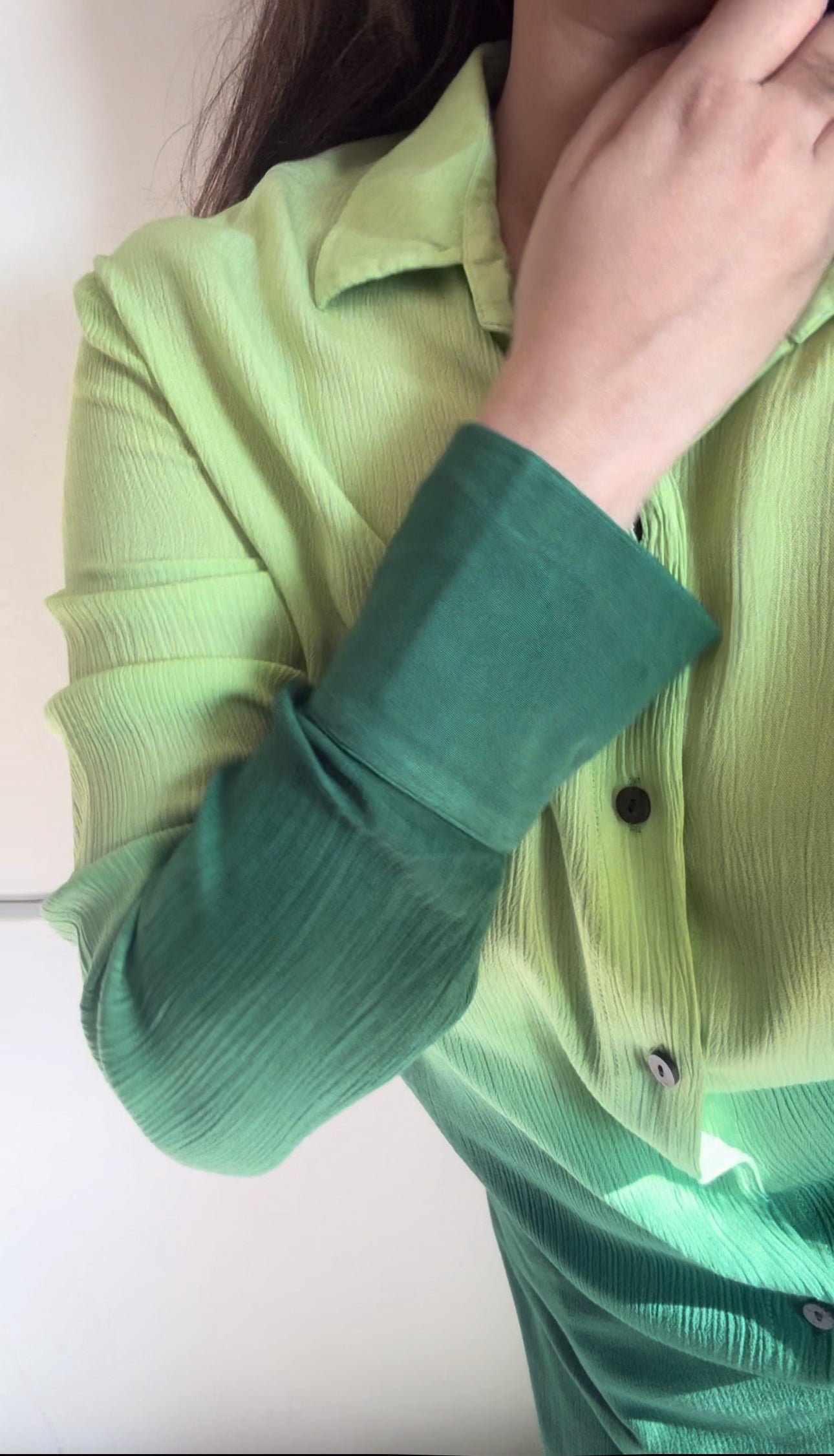 The Palm Paradise : Green Ombre